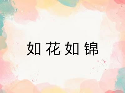 如花如锦