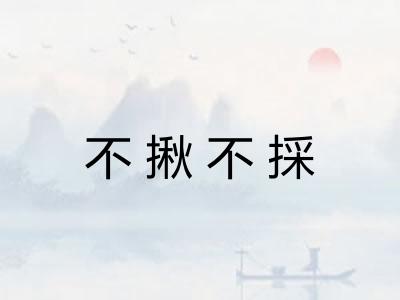 不揪不採