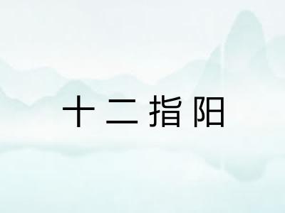 十二指阳