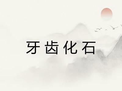 牙齿化石 牙齿化石