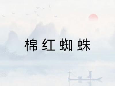 棉红蜘蛛