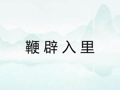 鞭辟入里